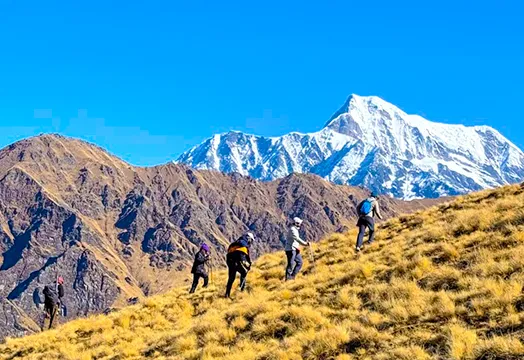 TTH Trek Update: Dayara Bugyal, Chopta Chandrashila, Sandakphu & Goechala Batches Open as Skies Turn Bright and Sunny
