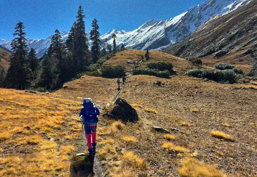 TTH Trek Update: Surya Top, Goechala, Sandakphu and Many More New Treks Begin Today 