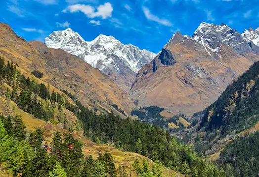 TTH Trek Update: All Batches Of Uttarakhand - Northeast - Nepal Trek Are Running As Per Schedule