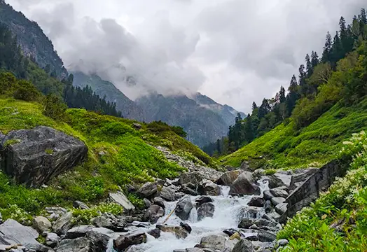 TTH Trek Update: Cloudy Skies and Rain Across Many Trails Yet Trekkers Are Spirited As Ever
