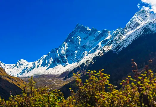TTH Trek Update: New Batches of PanchKedar, Kedar Tal, and Har Ki Dun Begin Today