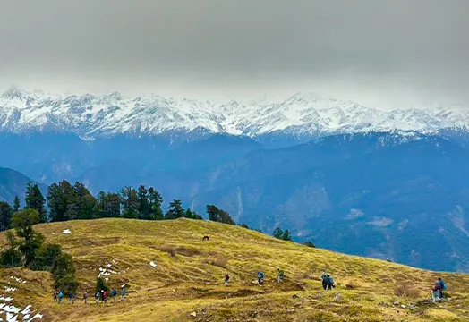 TTH Trek Update: Weather Shifts Across the Himalayas: Cloudy Skies and Drizzle, With Light Snowfall on the Heights