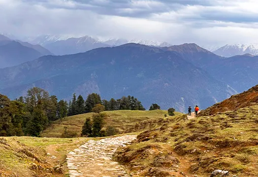 TTH Trek Update: Fresh Batches for Kuari Pass, Sandakphu & Goechala Open as Light Snowfall Hits the High Altitudes 