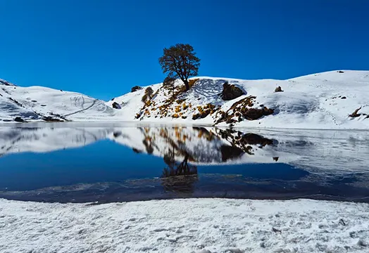 Brahmatal Trek in Winter: Snow, Frozen Lakes and Everything You Need to Know Before Booking