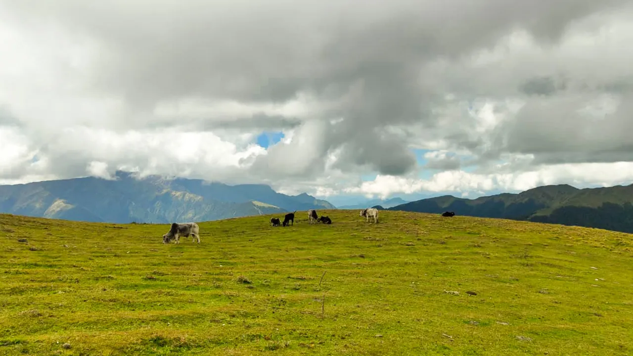 Trek Update of Himalayan Treks – 10th September 2026 by Trek The Himalayas
