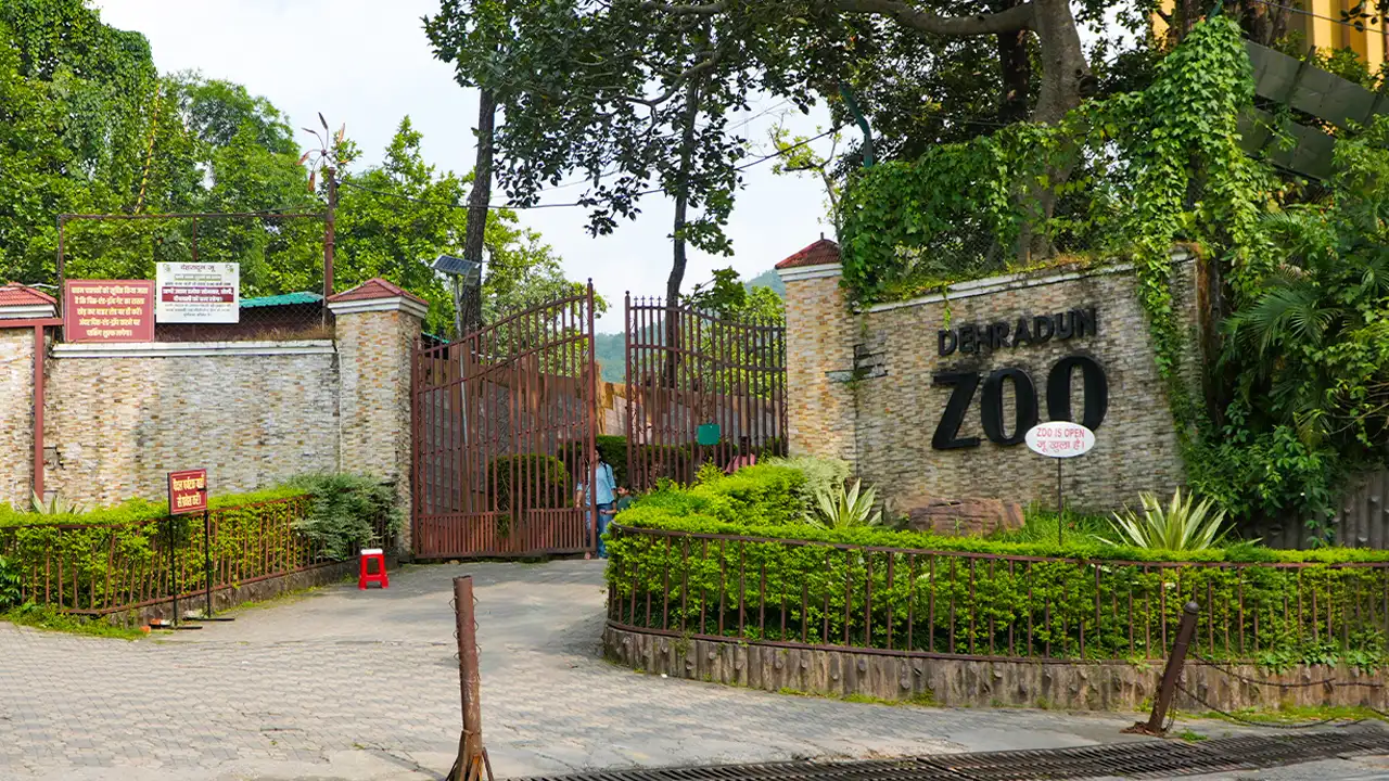 Malsi deer park, dehradun zoo