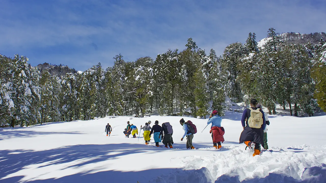 Trekkers crossing the snow trail during the Kuari Pass Trek