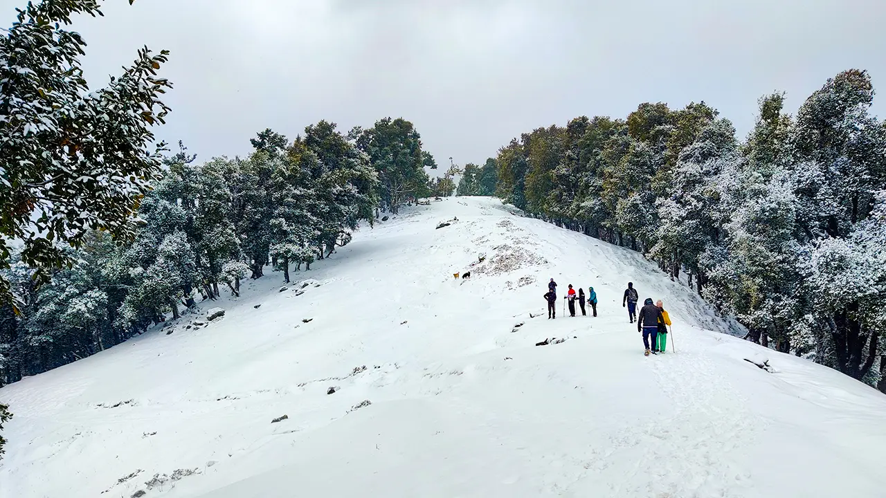 Trekkers walking uphill during the Nag Tibba Trek