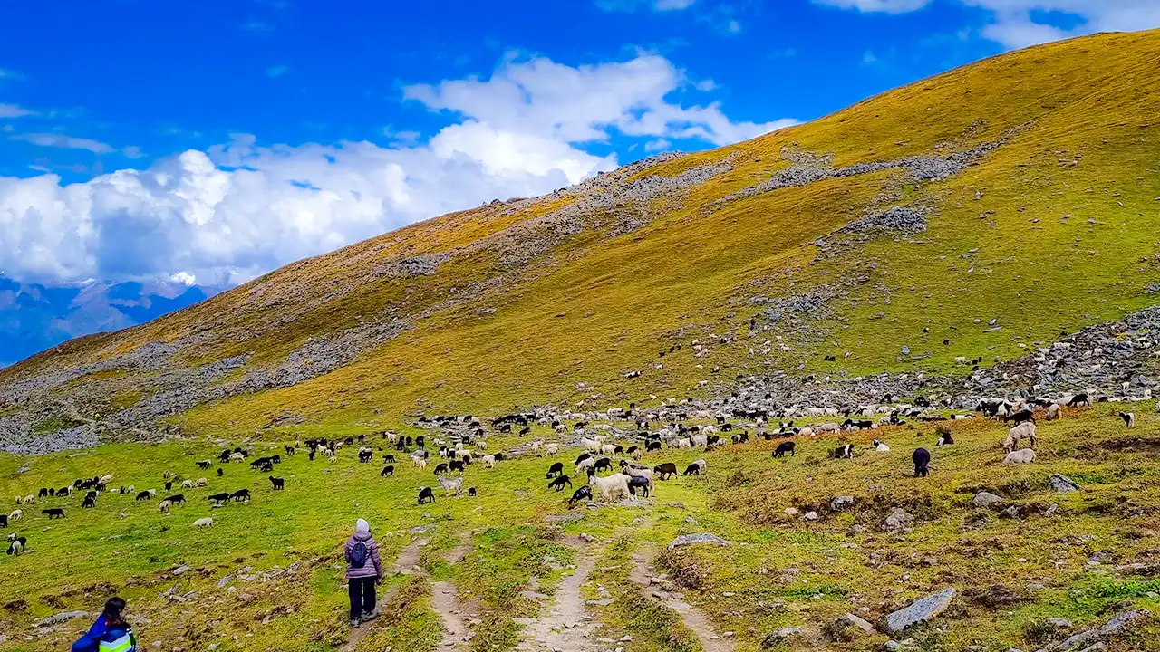 Trek Update of Himalayan Treks – 9th September 2026 by Trek The Himalayas