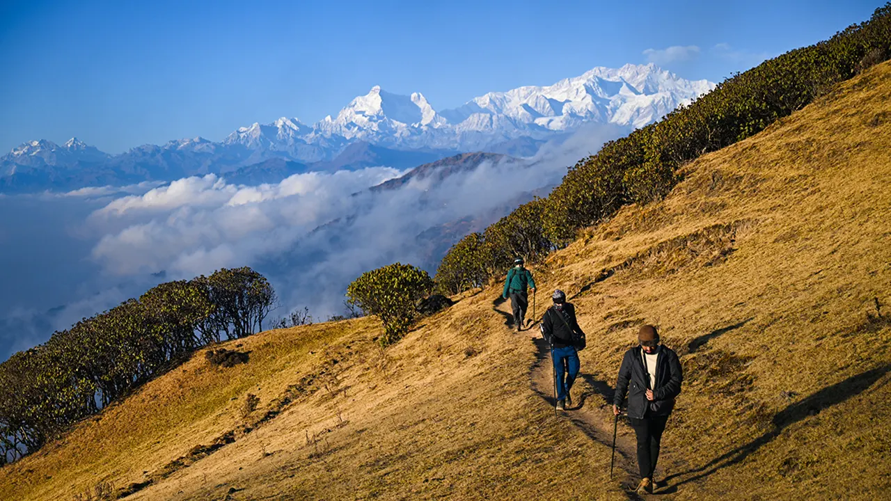 Trekkers are walking on a sandakphu trek trail