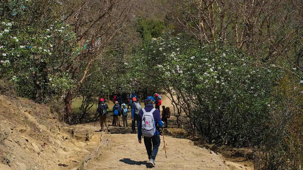 Trail of Everest Base Camp Trek