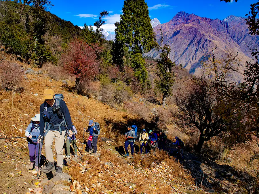 Kuari Pass Trek 6D/5N - Pipalkoti Base Package