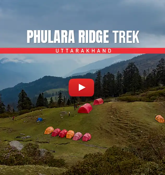 Phulara Ridge Trek 2026 - Cost, Itinerary & Safety Tips